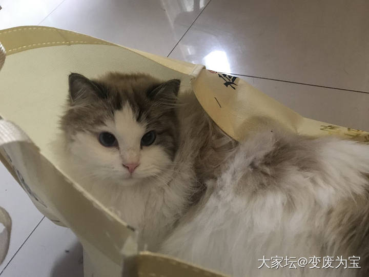 我明明订的是酸汤微辣口味的，要不要退货呢😄😆_猫