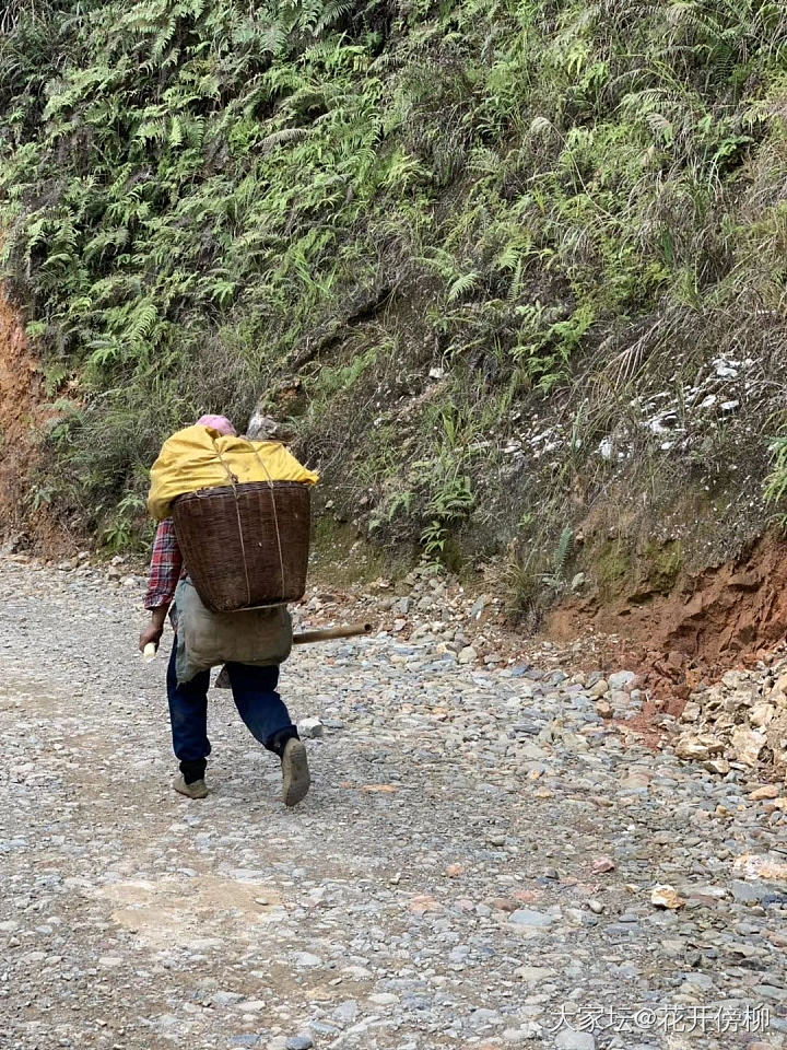 鲜笋！！我最爱的时鲜之一！！_食材