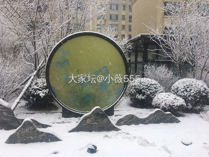 九九第一天，没有任何文案，大雪纷飞，特别美～_景色