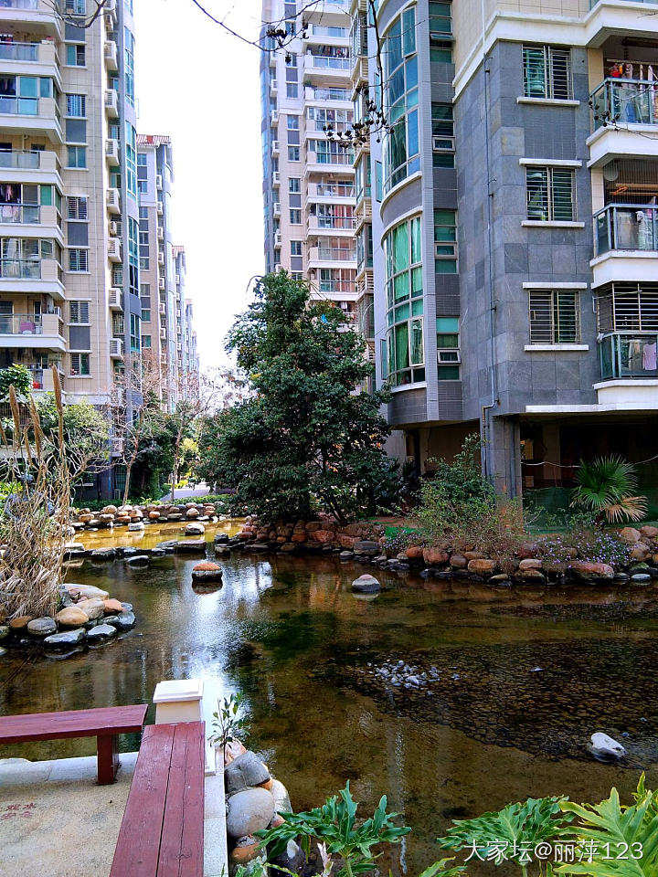 春林初盛，春水初生_景色闲聊植物