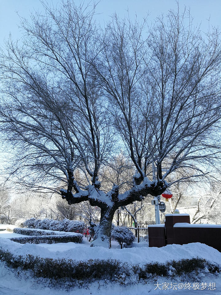 送你们晶莹的雪花，祝你们三八快乐！_节日景色