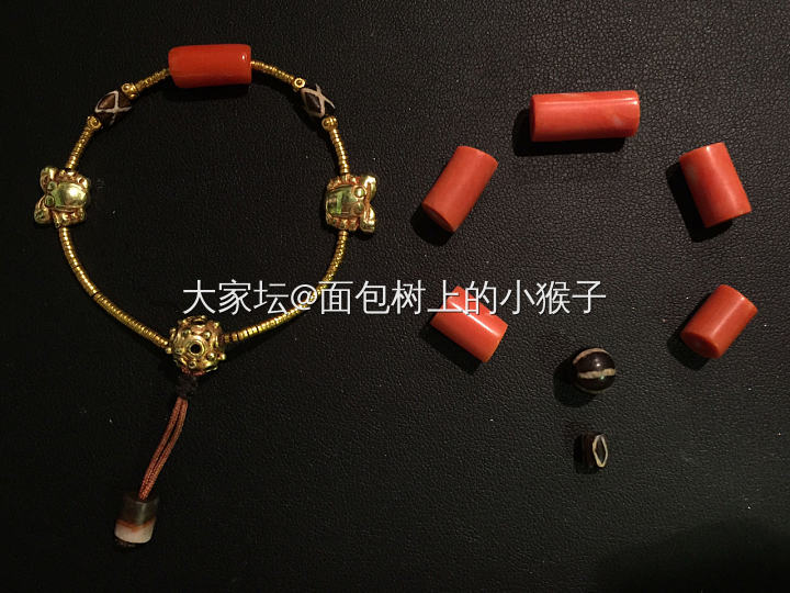 Momo和金子配一脸_珊瑚