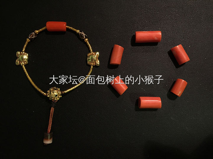 Momo和金子配一脸_珊瑚