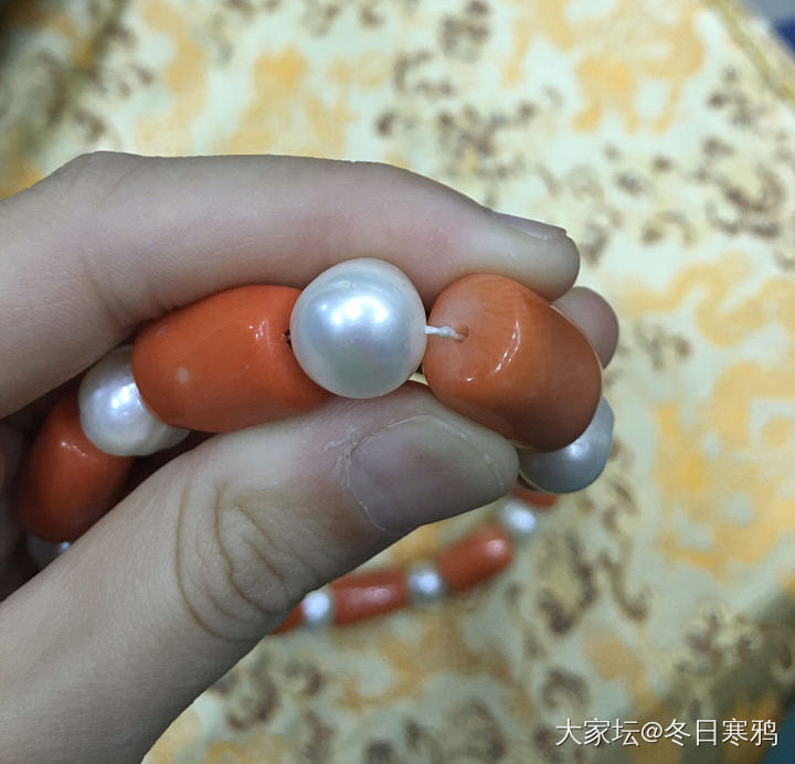 珍珠珊瑚项链（是真珊瑚吗？）_珊瑚