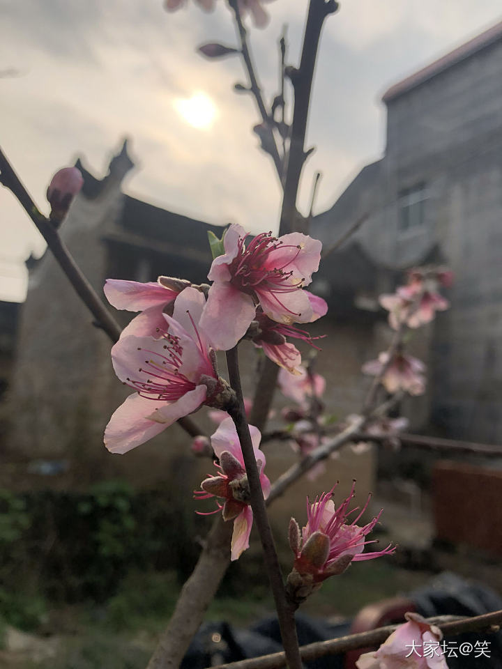 你们都认识这些菜吗_食材