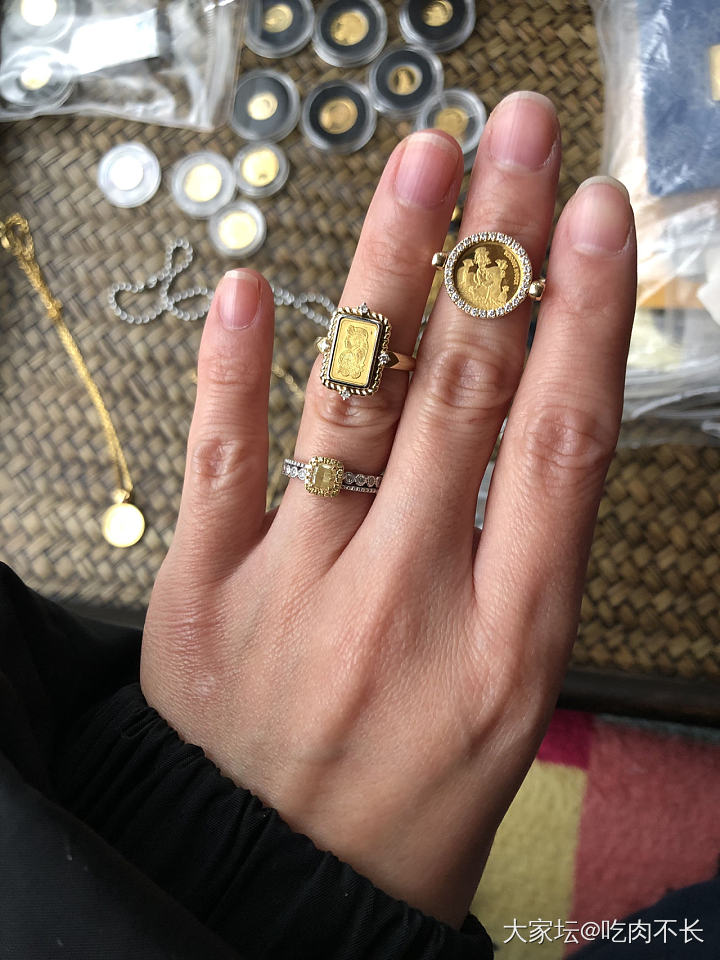 也来晒晒站在高岗上的宝_金币金