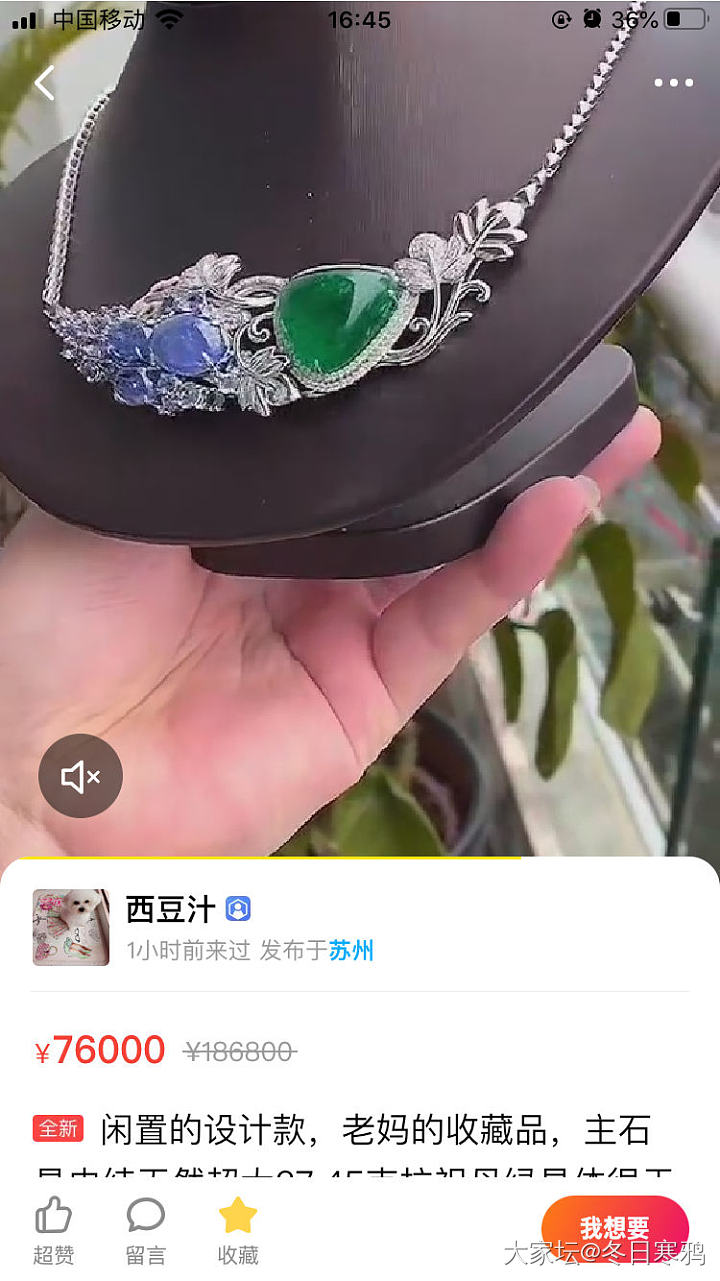 闲鱼小白求教_闲鱼名贵宝石