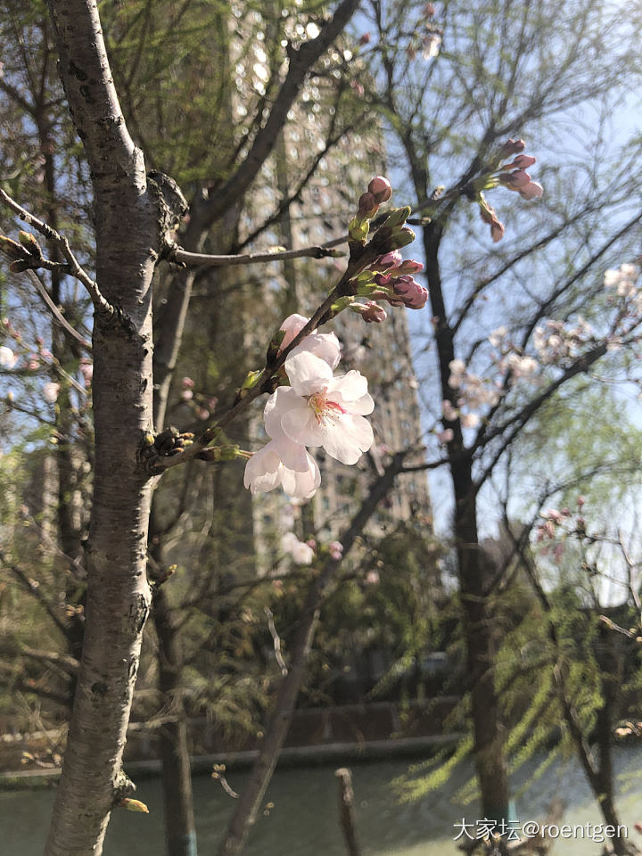 春分_节日