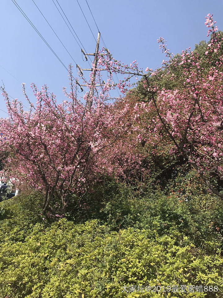 没忍住跑出去吃饭了_景色餐馆生活美食