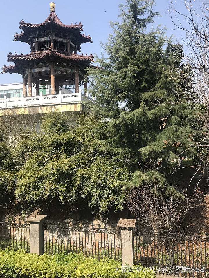 没忍住跑出去吃饭了_景色餐馆生活美食