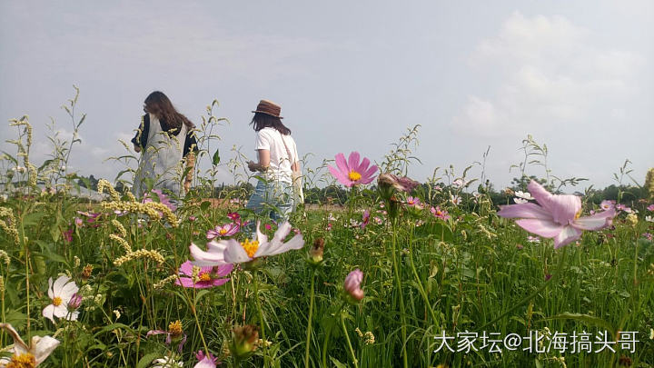 春暖花开_坛友风采