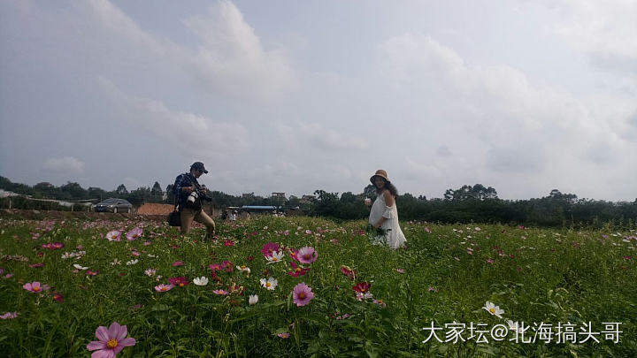 春暖花开_坛友风采