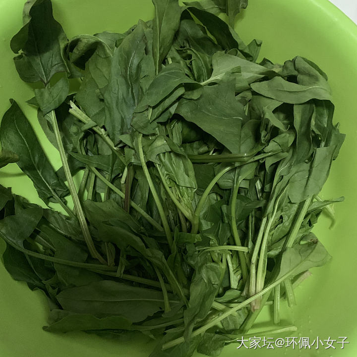 在线求助这是啥菜，不清楚不敢吃😂_食材