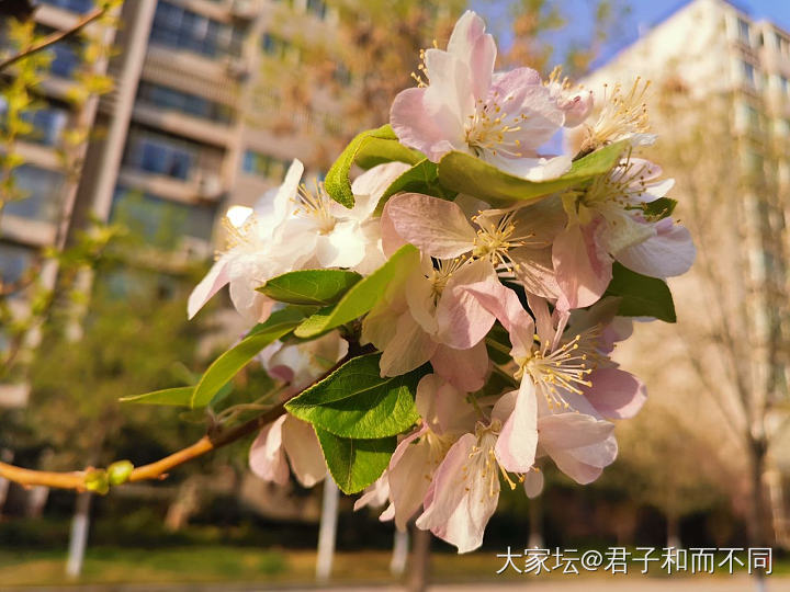 夏天快来了，求推荐防晒_丽人