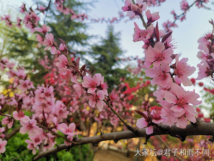 夏天快来了，求推荐防晒_丽人