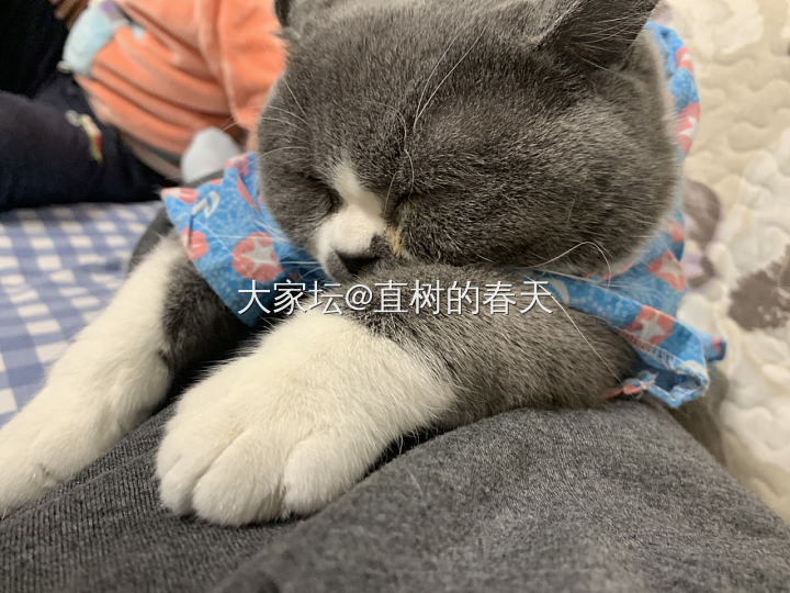 幸福的小日子😄_猫闲聊