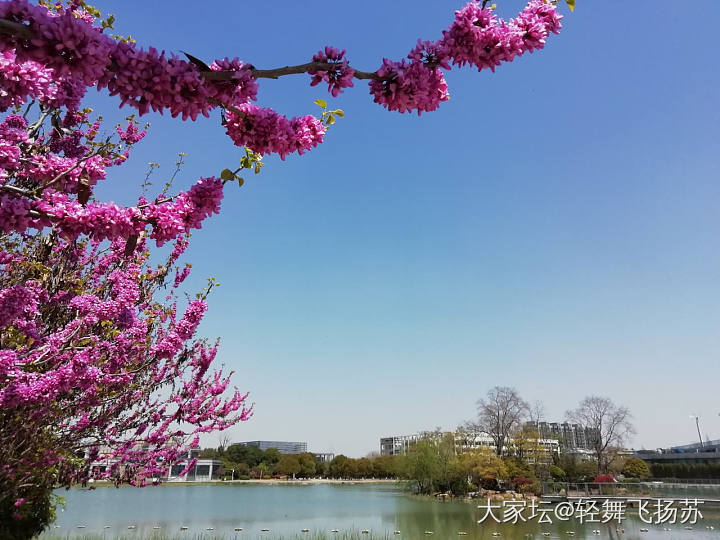 前天春光明媚，今天冷的哆嗦_景色