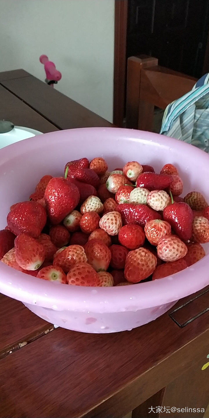 🍓_水果