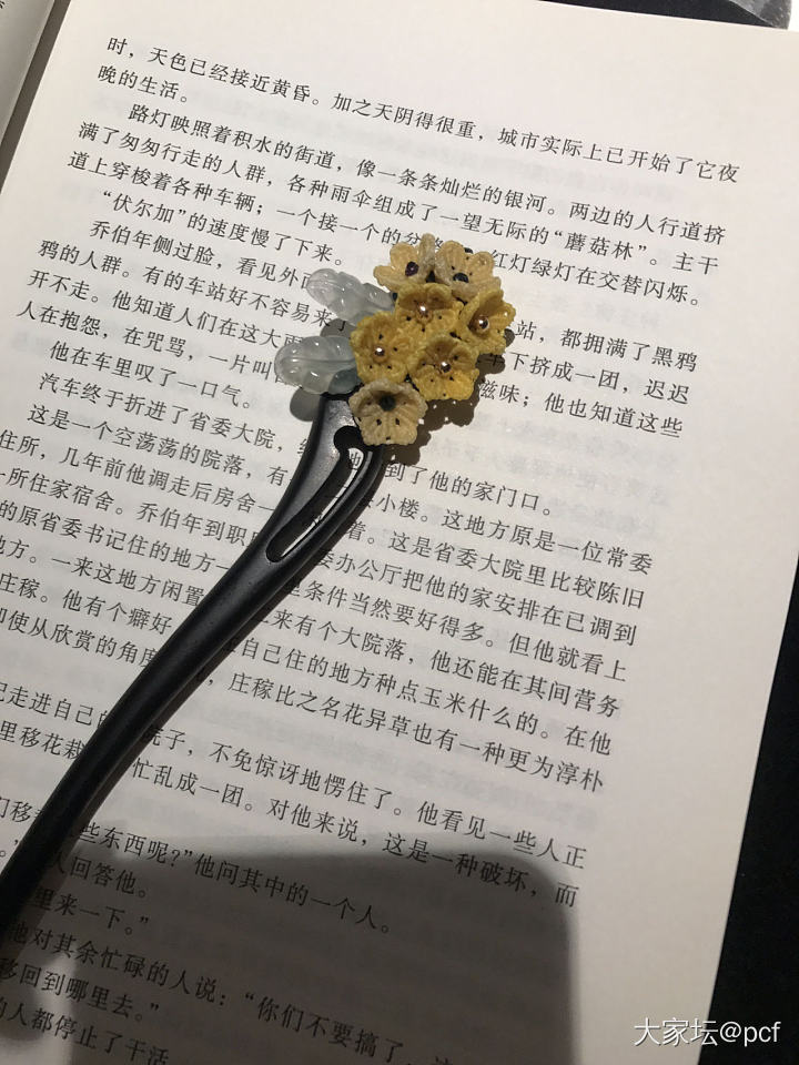 新编的发簪_首饰