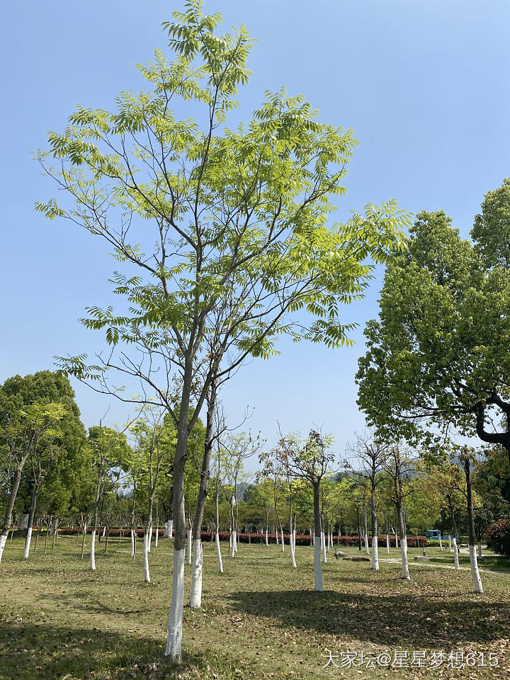 嘿嘿，每天溜达溜达，_坛友风采景色