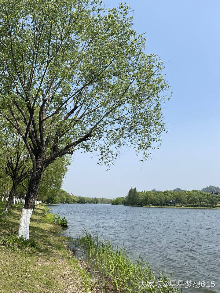 嘿嘿，每天溜达溜达，_坛友风采景色