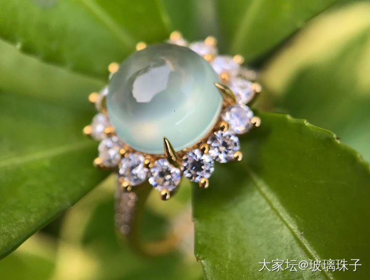 给手机配了个微距镜头_摄影