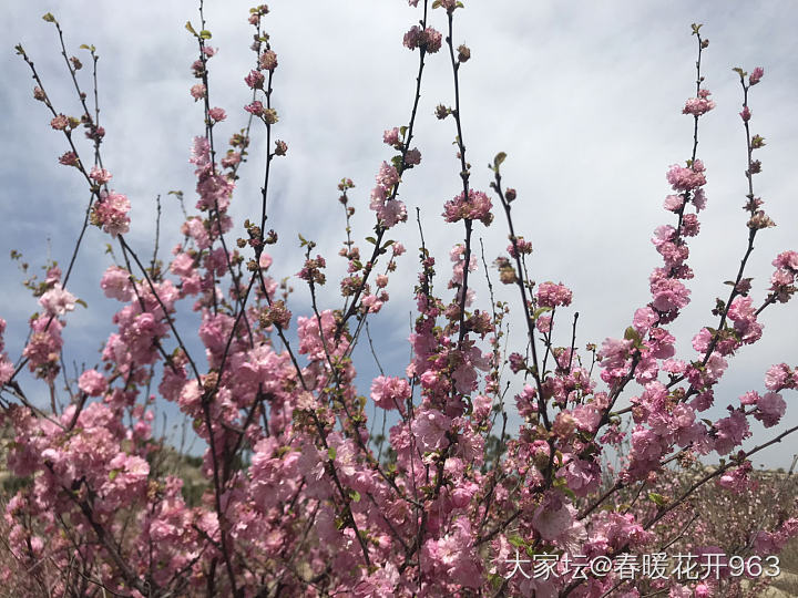 早安，春光正好，周末愉快！_景色