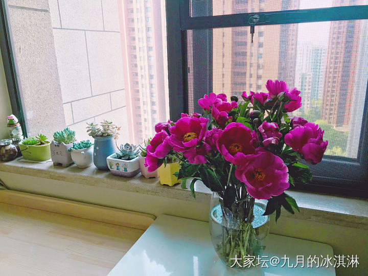 来吧，“将离”花_花