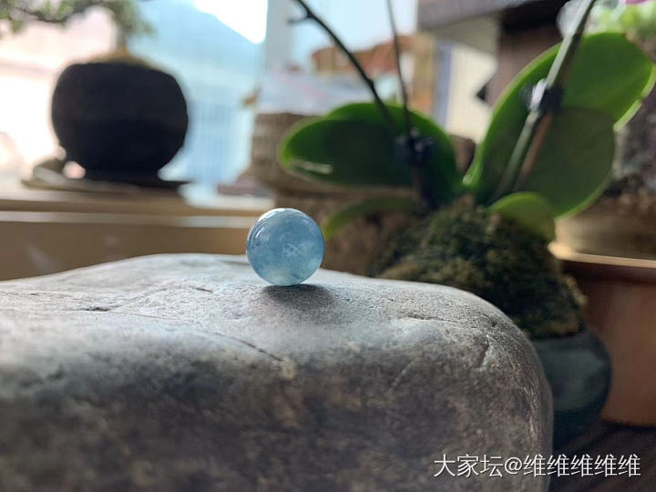 一入珠坑深似海，从此钱包是路人_翡翠