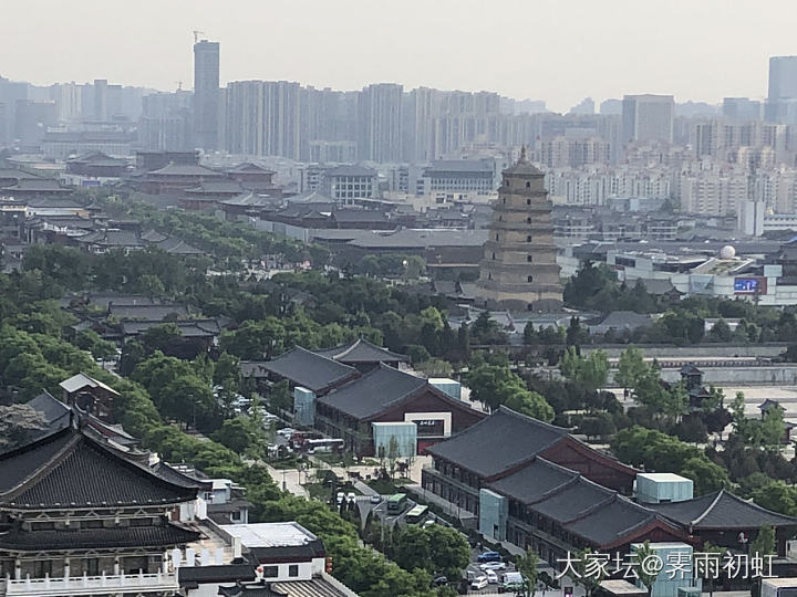 今日左手水红包_紫龙晶碧玉珠串手镯