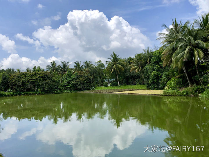 还是南方适合我_旅游