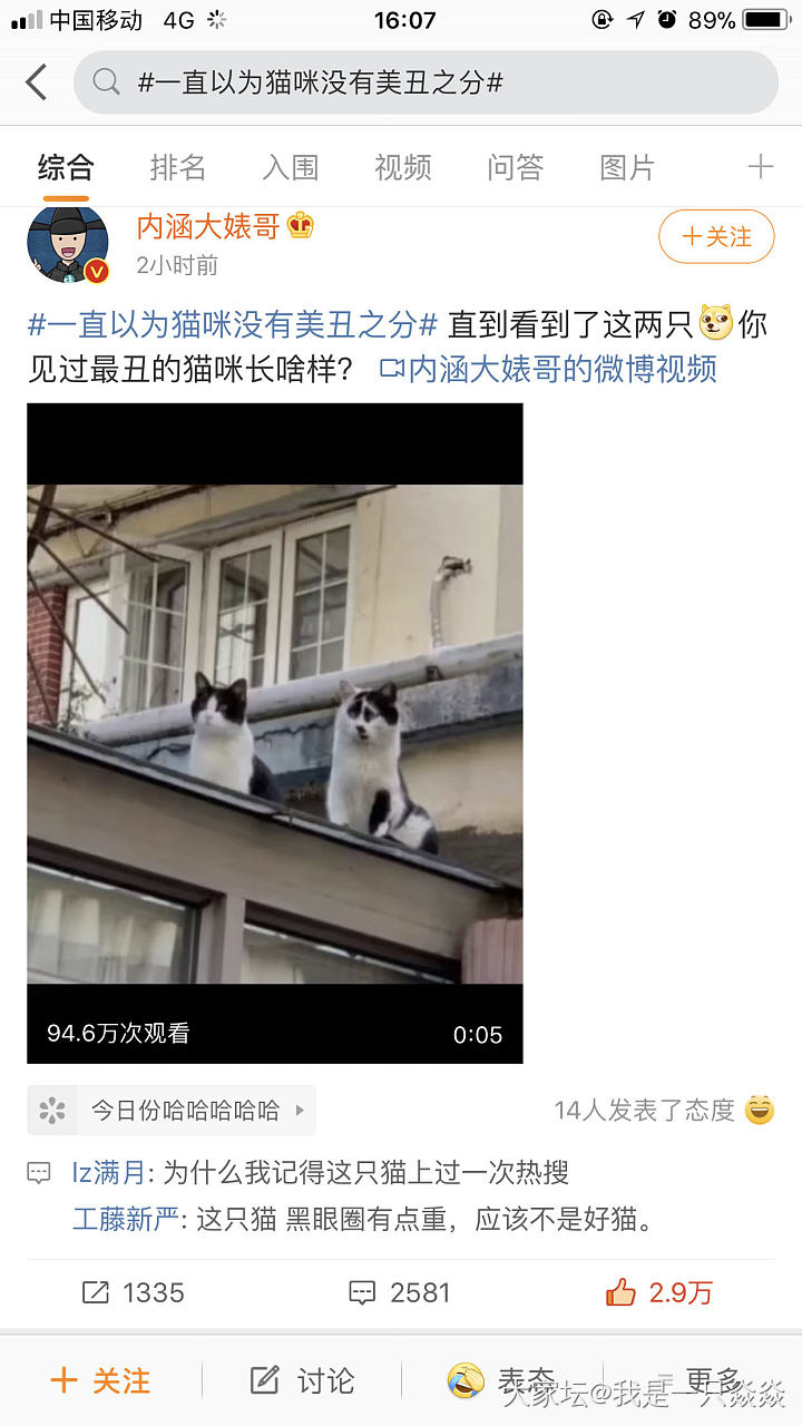 一直以为猫是没有美丑之分的，_猫