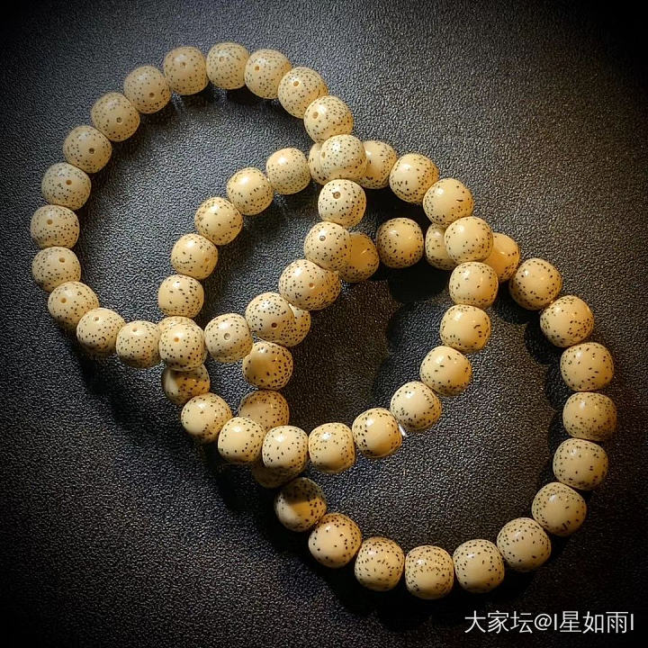 真陈籽_菩提子