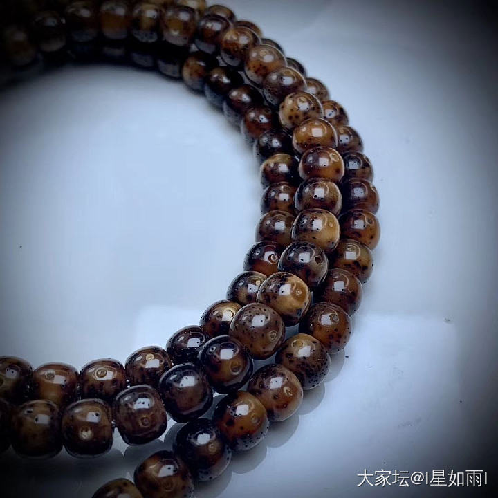老籽老籽_菩提子