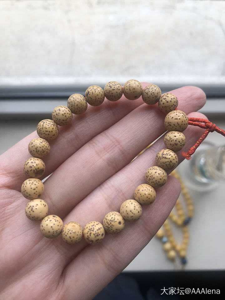 孤独的星月_菩提子