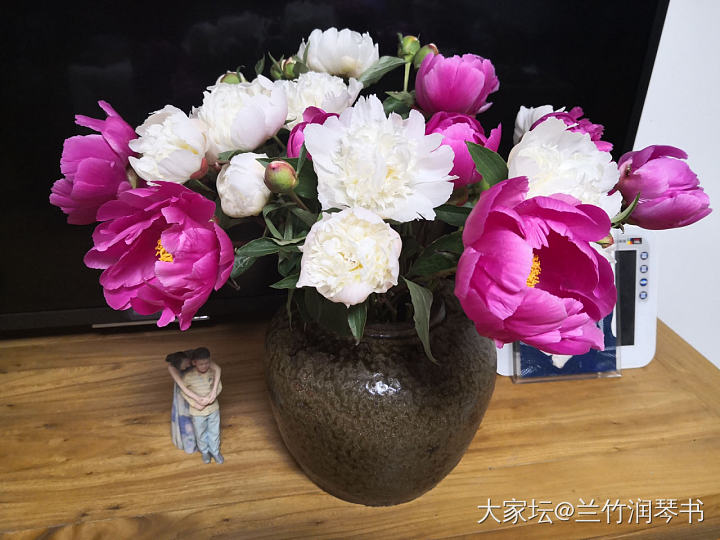 芍药花到了极盛期，所以从今天开始停止发货啦！感谢大家的支持.因为没有经验，肯定服...