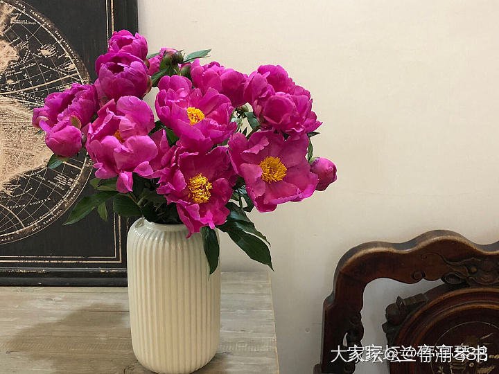 芍药花到了极盛期，所以从今天开始停止发货啦！感谢大家的支持.因为没有经验，肯定服...