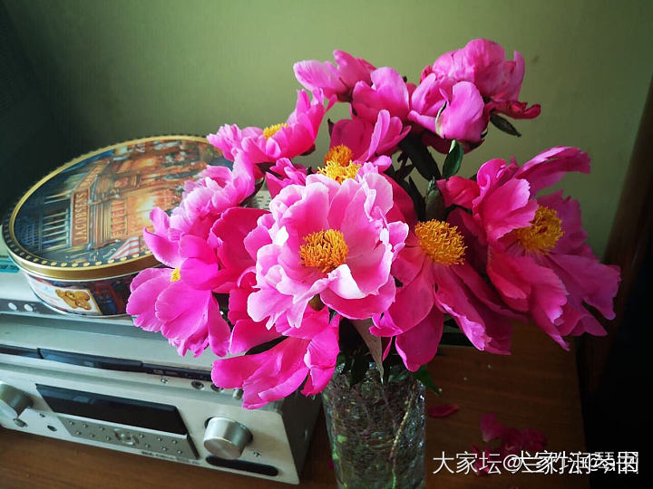 芍药花到了极盛期，所以从今天开始停止发货啦！感谢大家的支持.因为没有经验，肯定服...