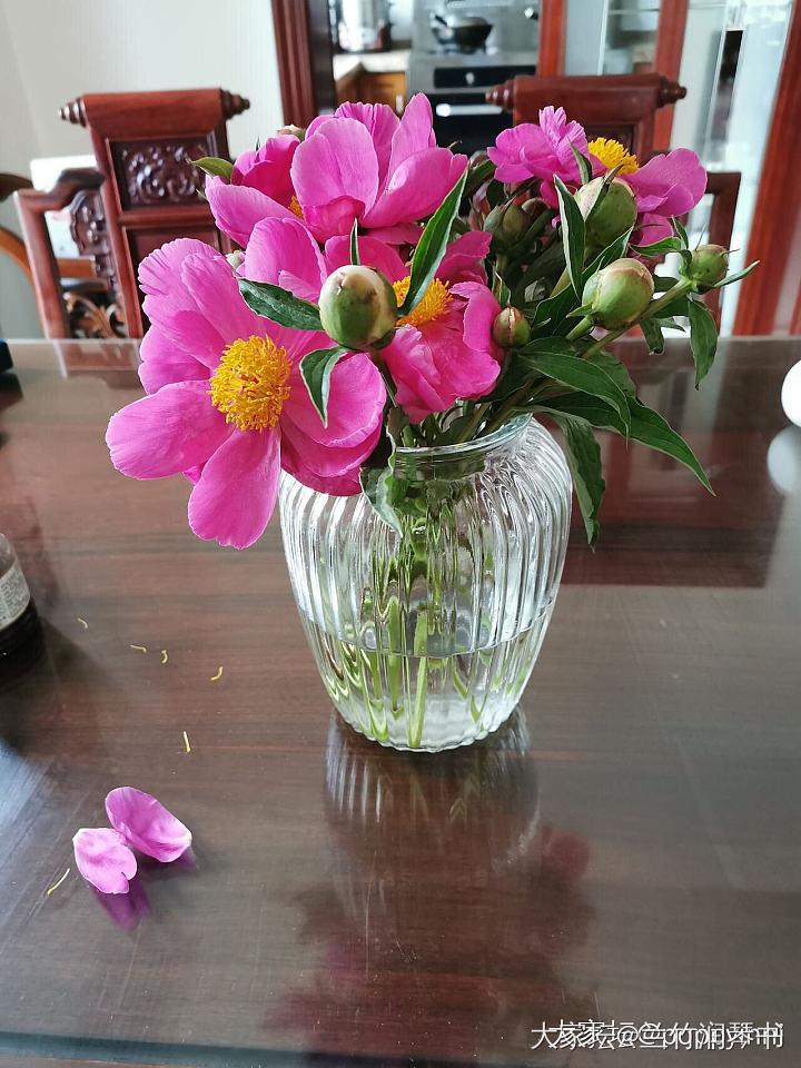 芍药花到了极盛期，所以从今天开始停止发货啦！感谢大家的支持.因为没有经验，肯定服...