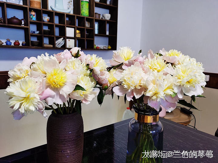 芍药花到了极盛期，所以从今天开始停止发货啦！感谢大家的支持.因为没有经验，肯定服...