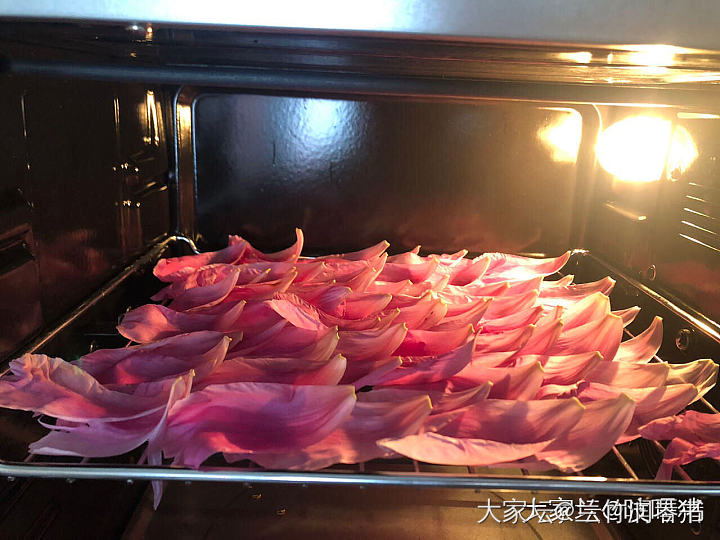 芍药花到了极盛期，所以从今天开始停止发货啦！感谢大家的支持.因为没有经验，肯定服...