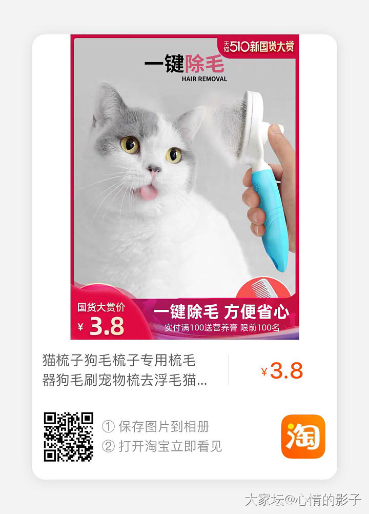 请忽略背景配乐_猫