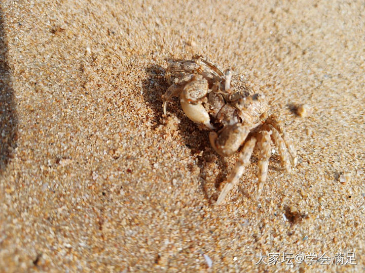 好好享受当下吧，阳光、沙滩、宝宝和宝贝😄_旅游