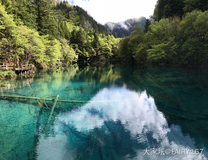 九寨沟太给面子啦，阳光灿烂的迎接我_景色旅游