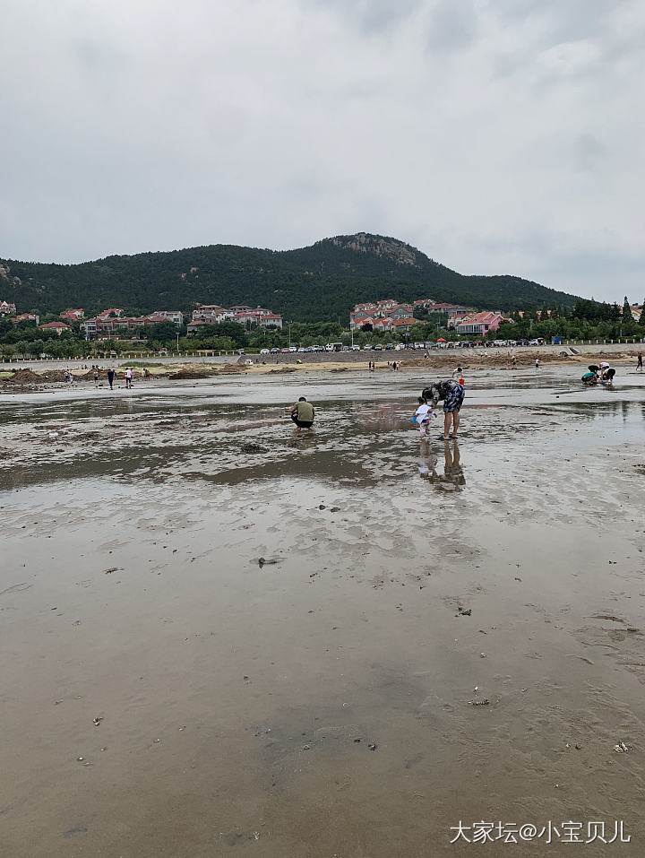 赶海_美食