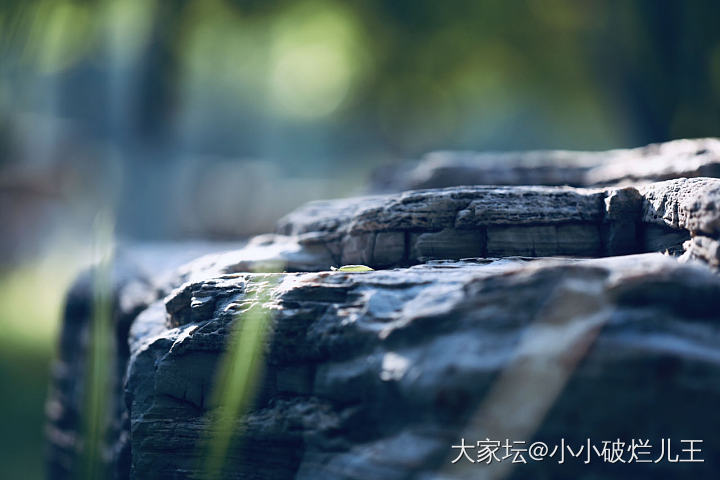 遛弯儿 拍片儿_摄影
