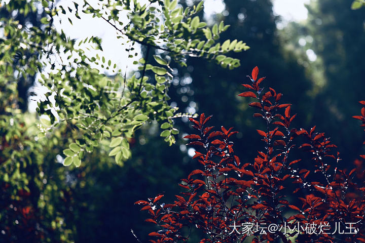 遛弯儿 拍片儿_摄影