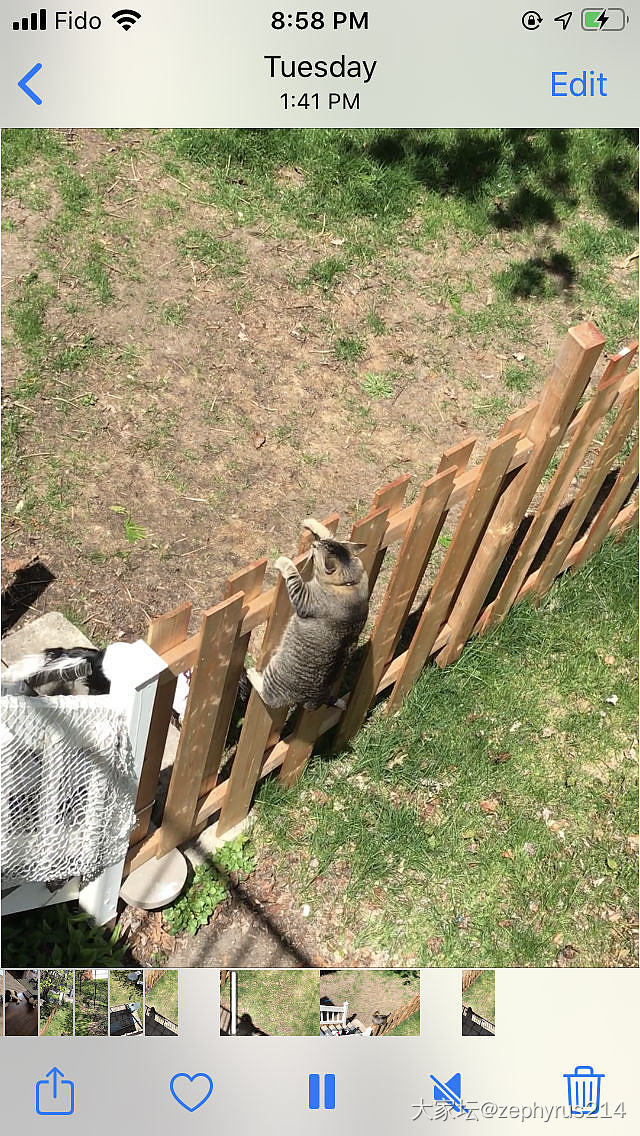 敢占我座就拍你丑照_猫