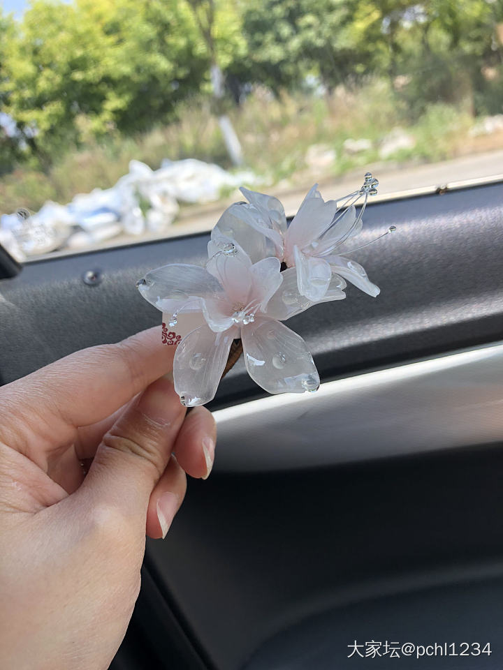 这个发簪我真的爱了_簪子