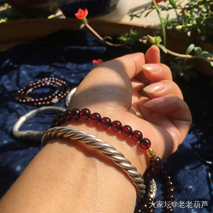 谁有紫牙乌🙋_水晶